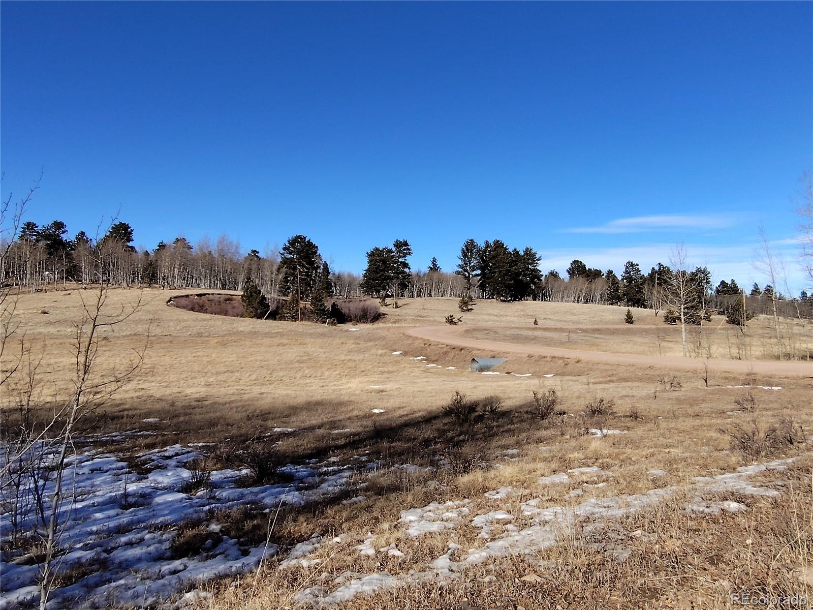 29 Hidden Valley Drive Florissant CO 80816