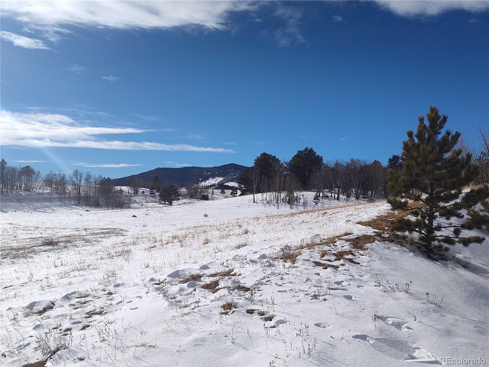 29 Hidden Valley Drive Florissant CO 80816