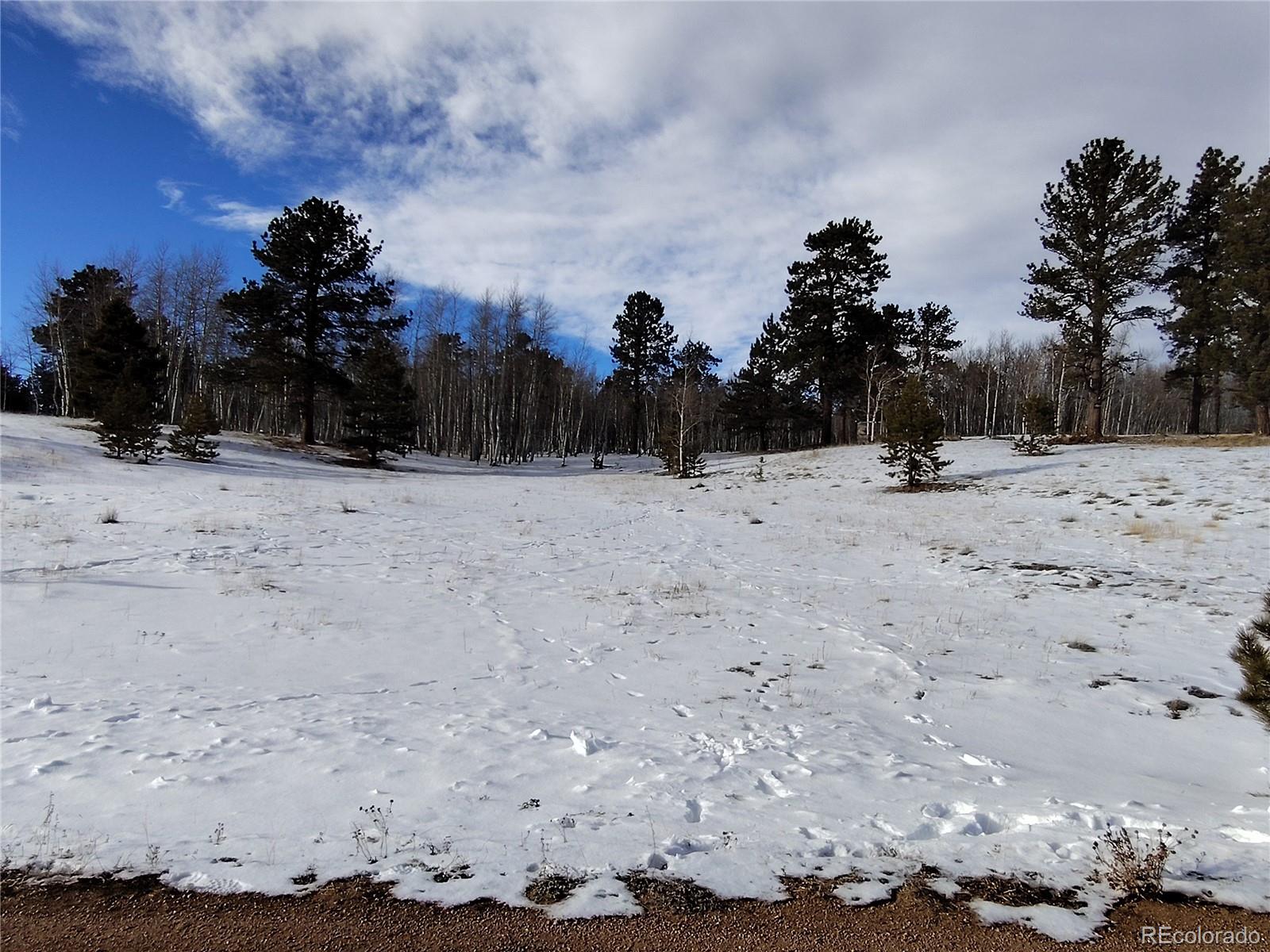 29 Hidden Valley Drive Florissant CO 80816
