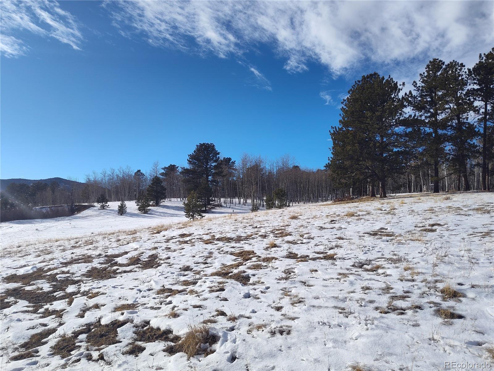 29 Hidden Valley Drive Florissant CO 80816