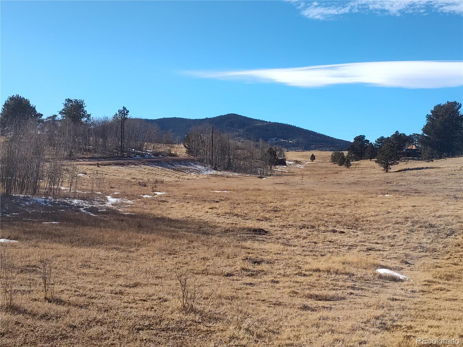 29 Hidden Valley Drive Florissant CO 80816