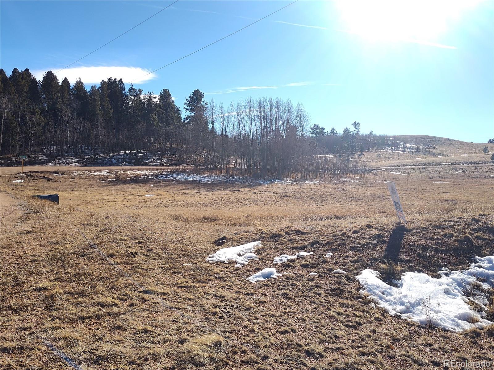 29 Hidden Valley Drive Florissant CO 80816