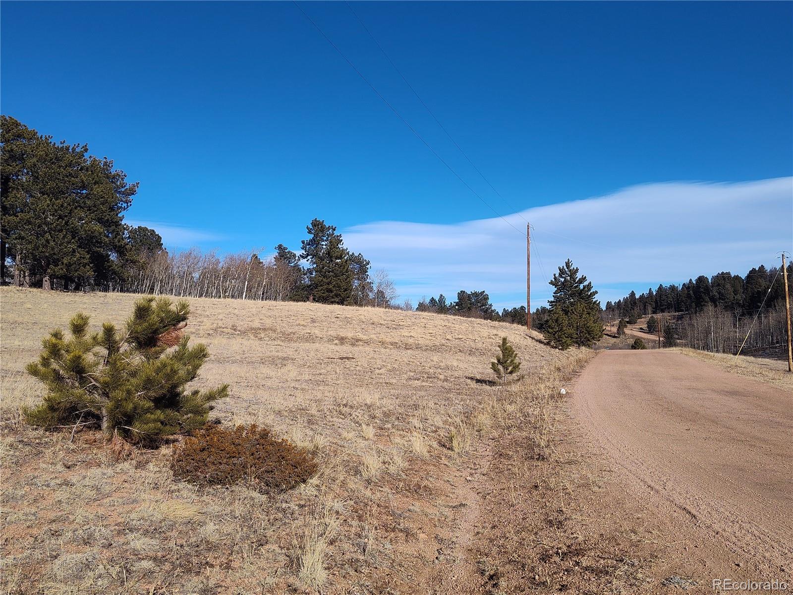 29 Hidden Valley Drive Florissant CO 80816