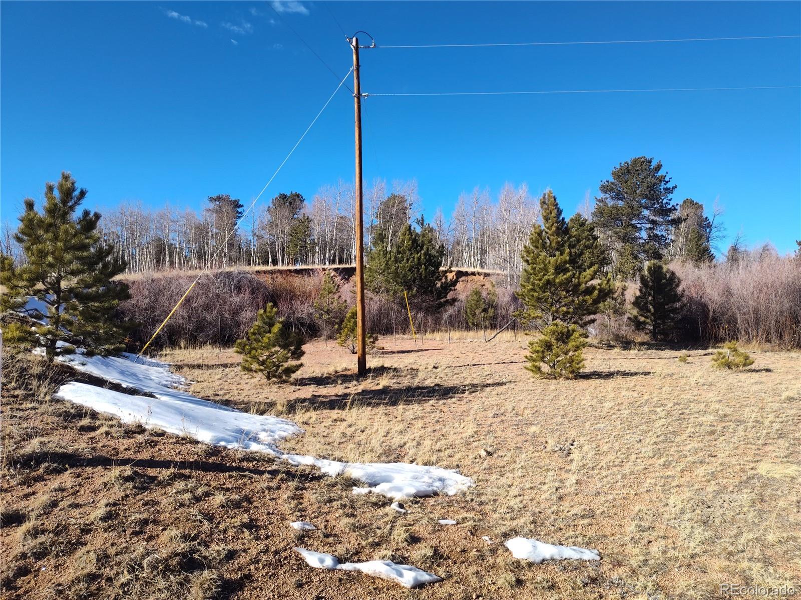 29 Hidden Valley Drive Florissant CO 80816