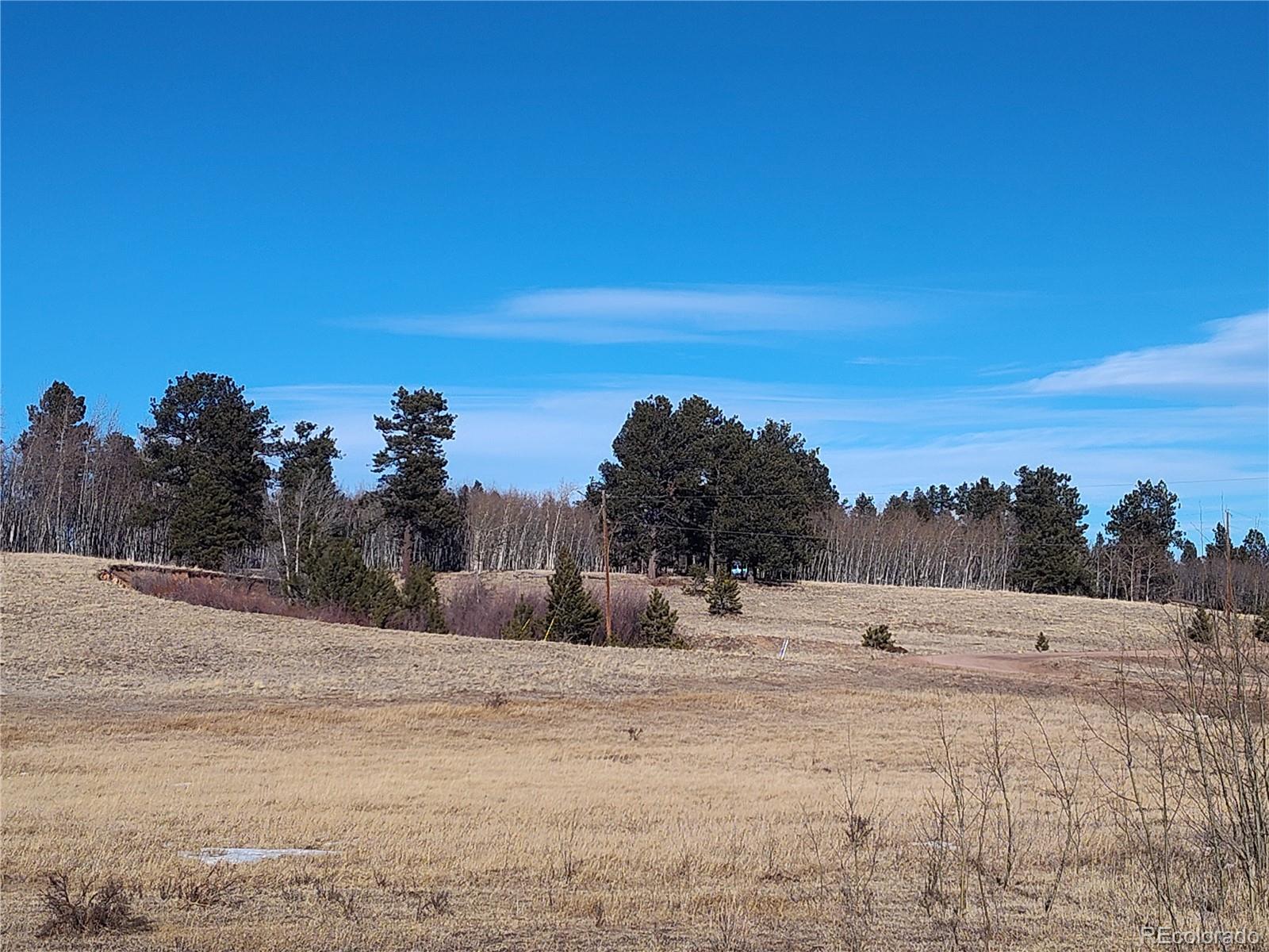 29 Hidden Valley Drive Florissant CO 80816