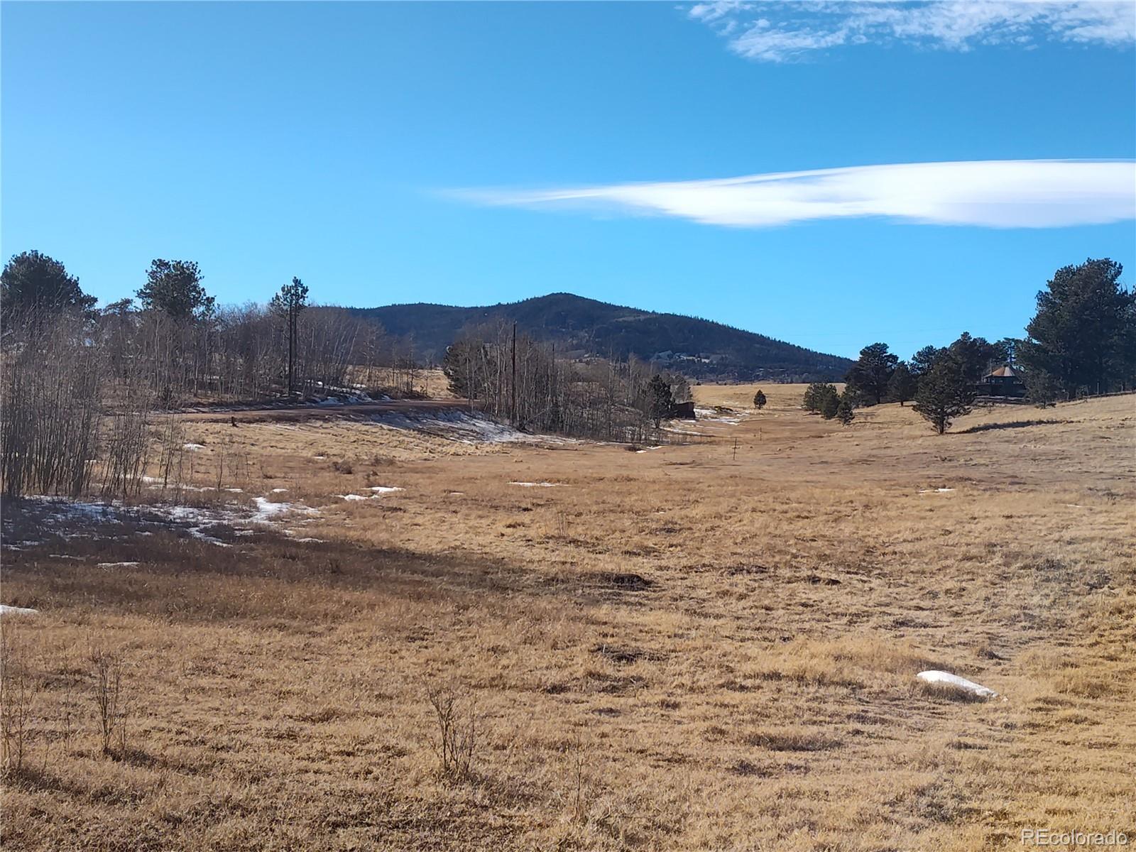29 Hidden Valley Drive Florissant CO 80816