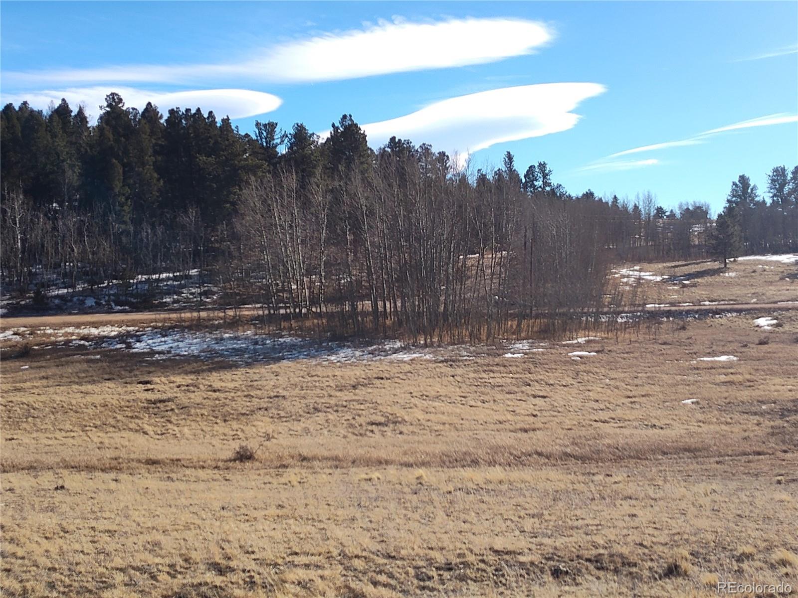 29 Hidden Valley Drive Florissant CO 80816