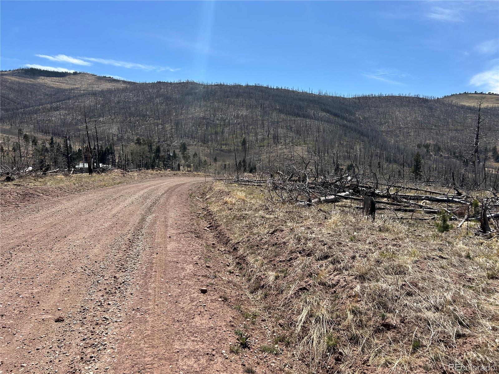 Lot 1039 Forbes Park Ranch Fort Garland CO 81133