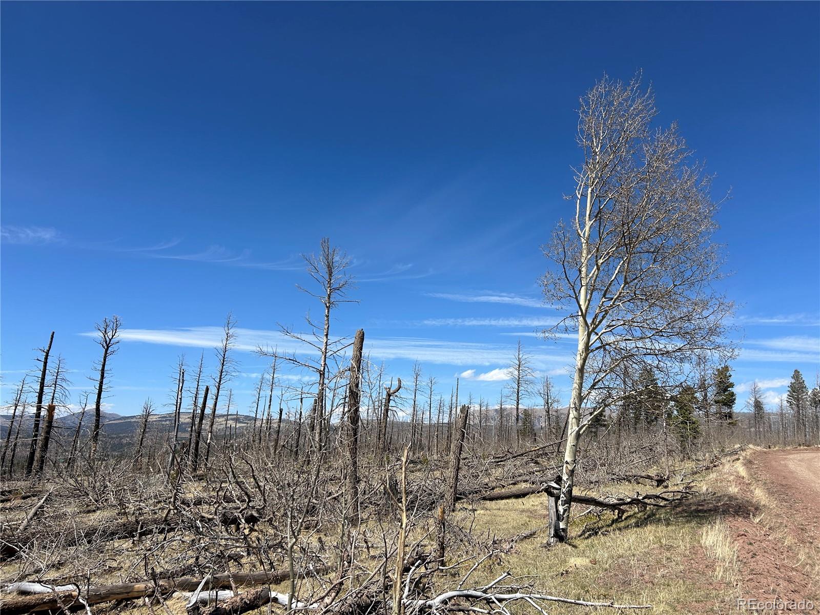 Lot 1039 Forbes Park Ranch Fort Garland CO 81133
