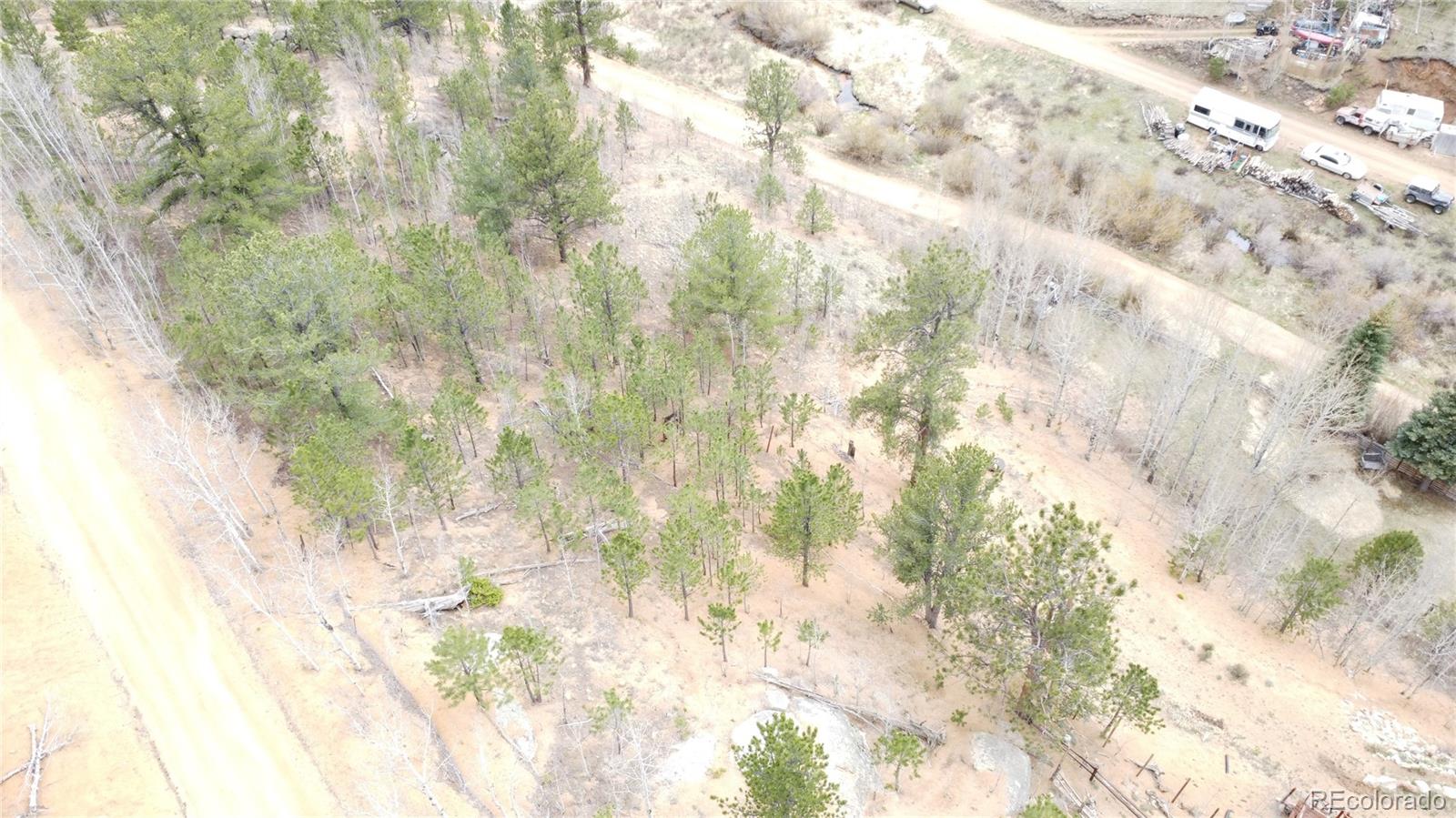 397 Neish Street Bailey CO 80421