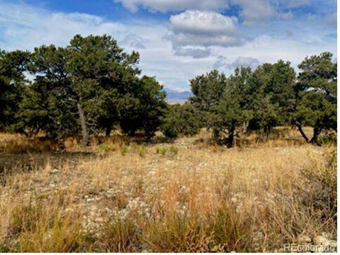 0000 Mill Run Mosca CO 81101