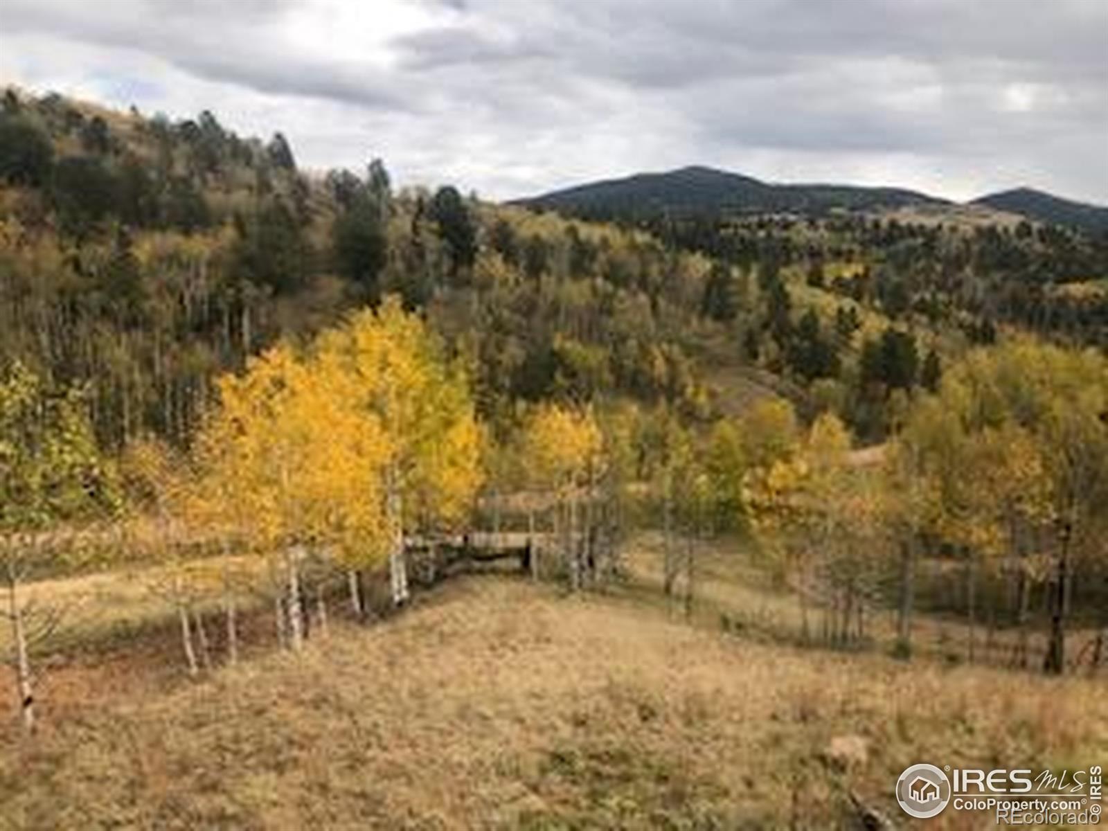 499 Granite Lane Cripple Creek CO 80813