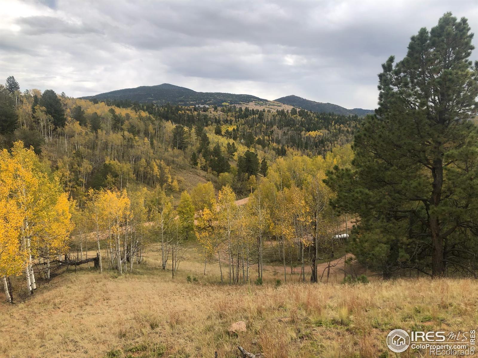 499 Granite Lane Cripple Creek CO 80813