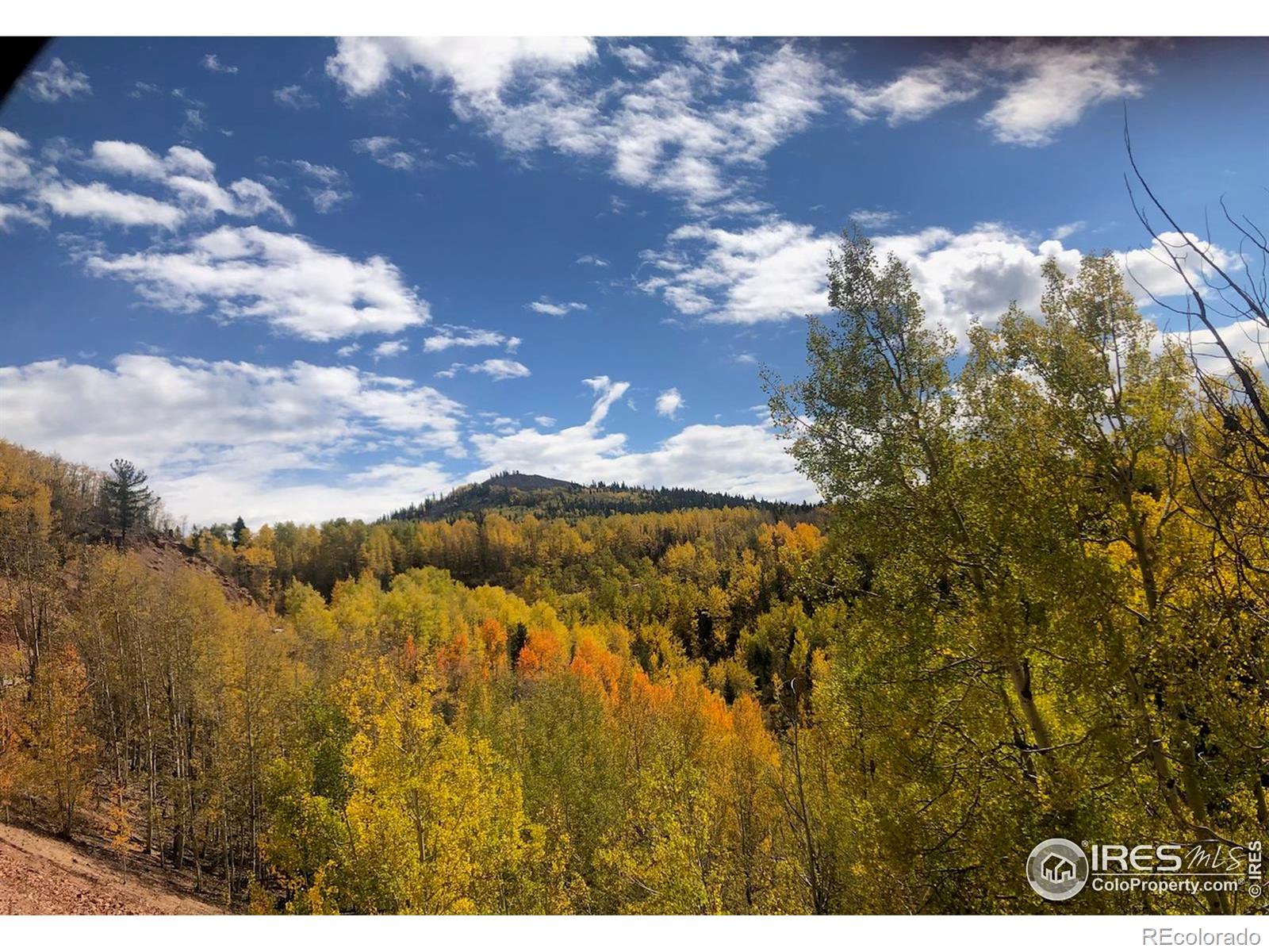 499 Granite Lane Cripple Creek CO 80813