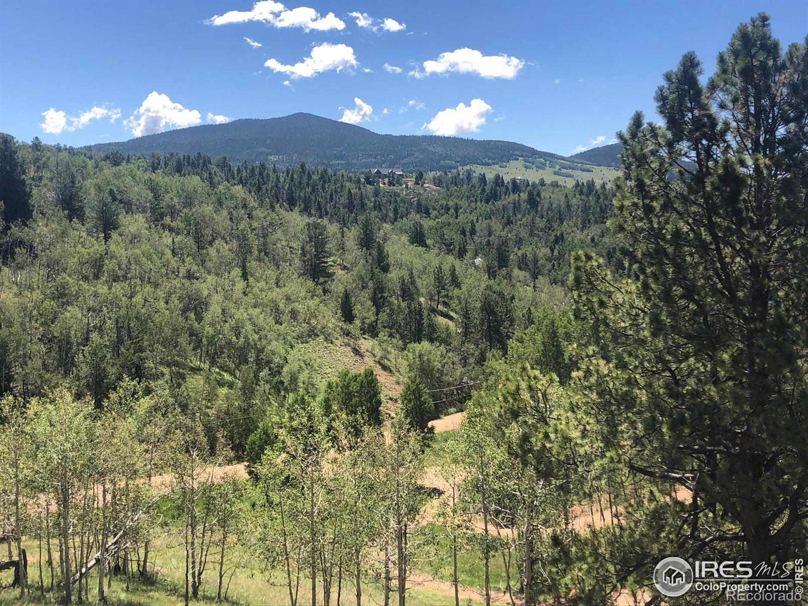 499 Granite Lane Cripple Creek CO 80813