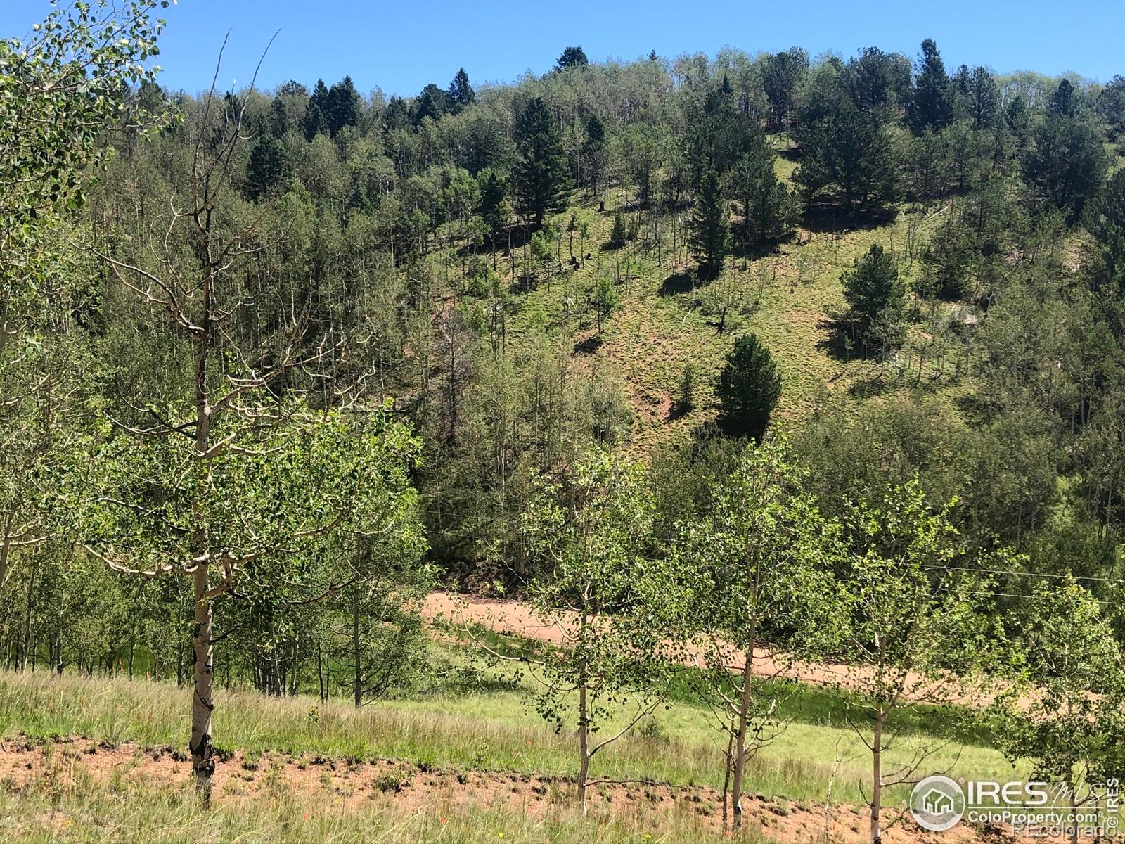 499 Granite Lane Cripple Creek CO 80813