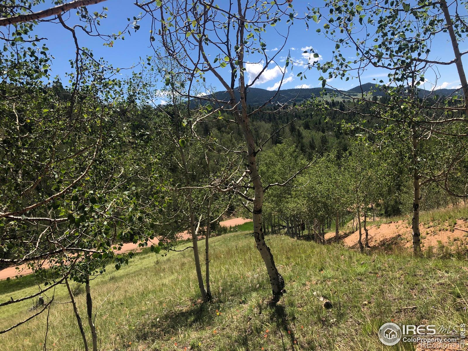 499 Granite Lane Cripple Creek CO 80813