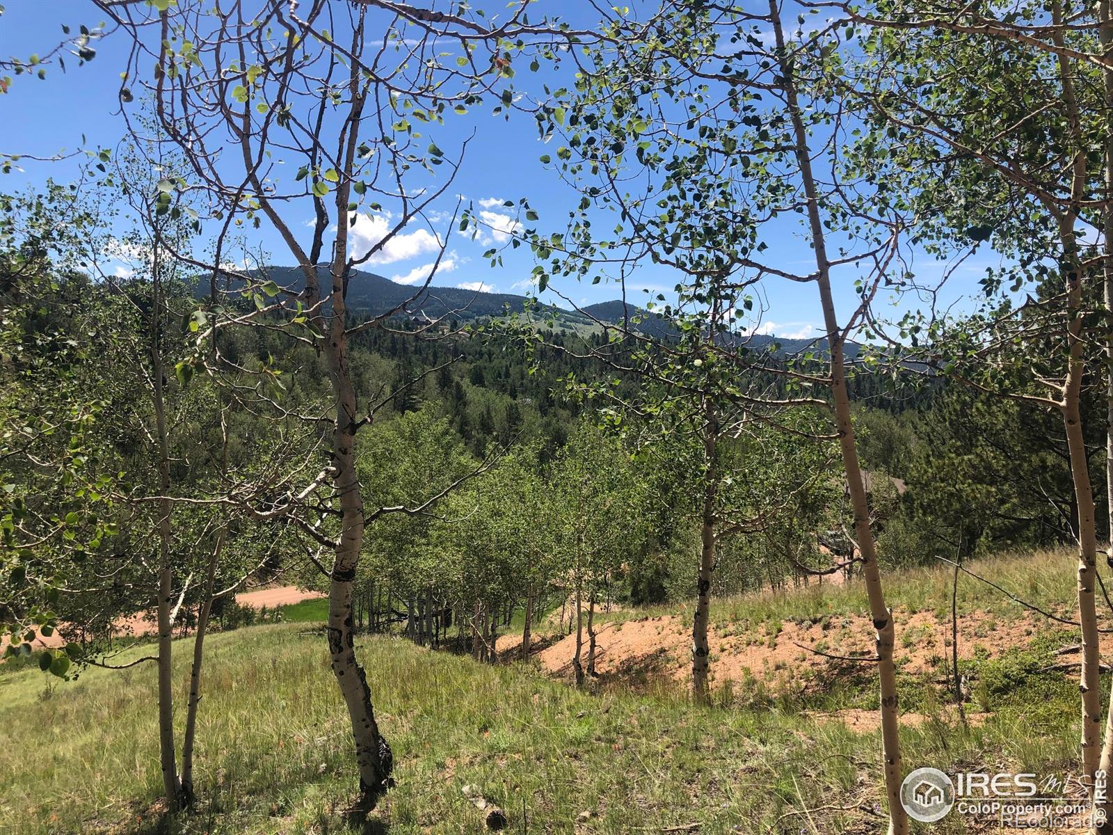 499 Granite Lane Cripple Creek CO 80813