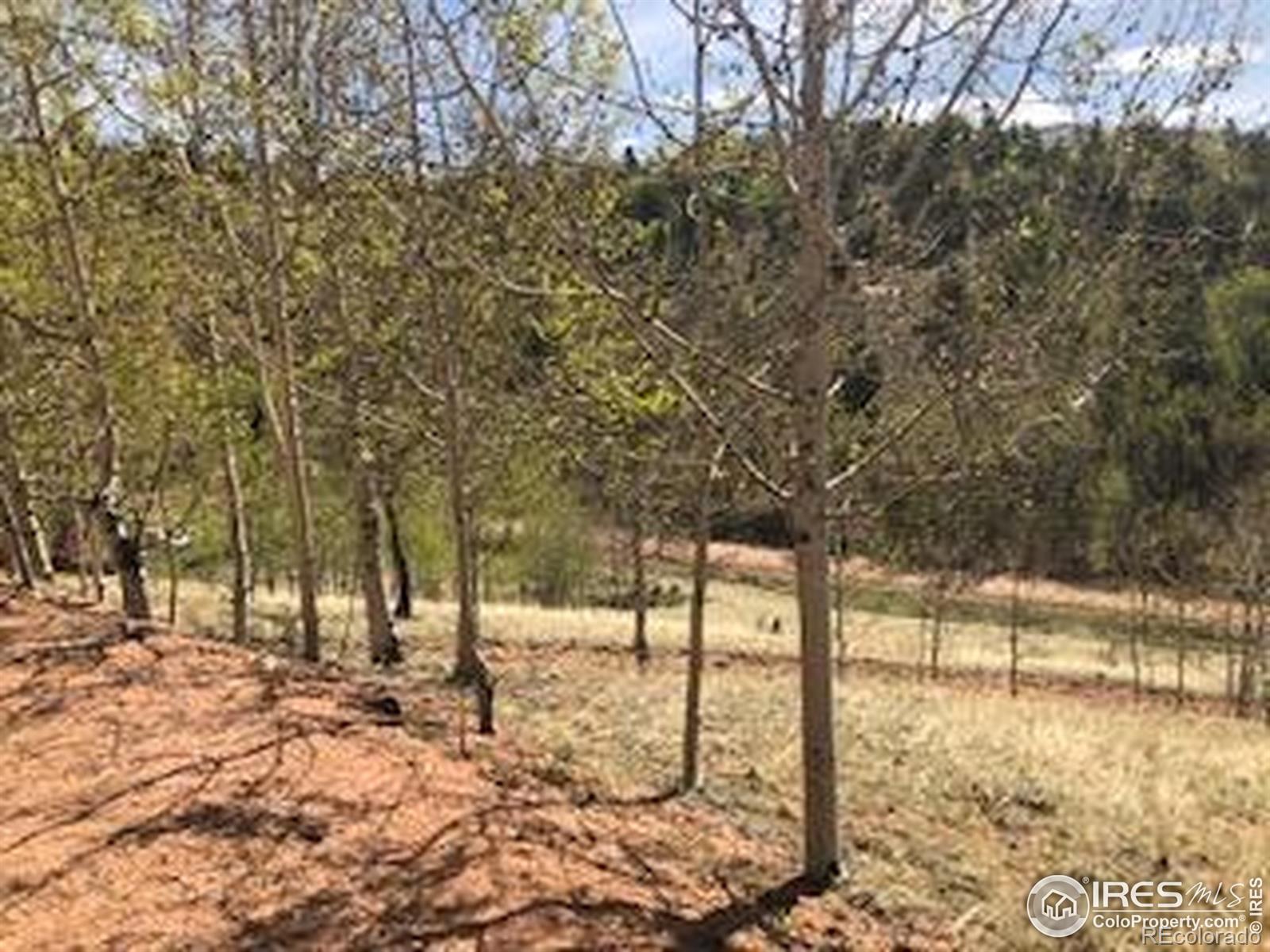499 Granite Lane Cripple Creek CO 80813