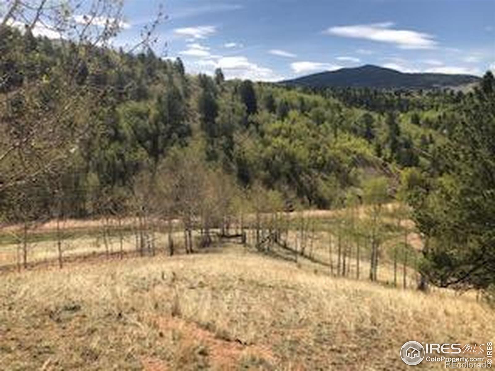 499 Granite Lane Cripple Creek CO 80813