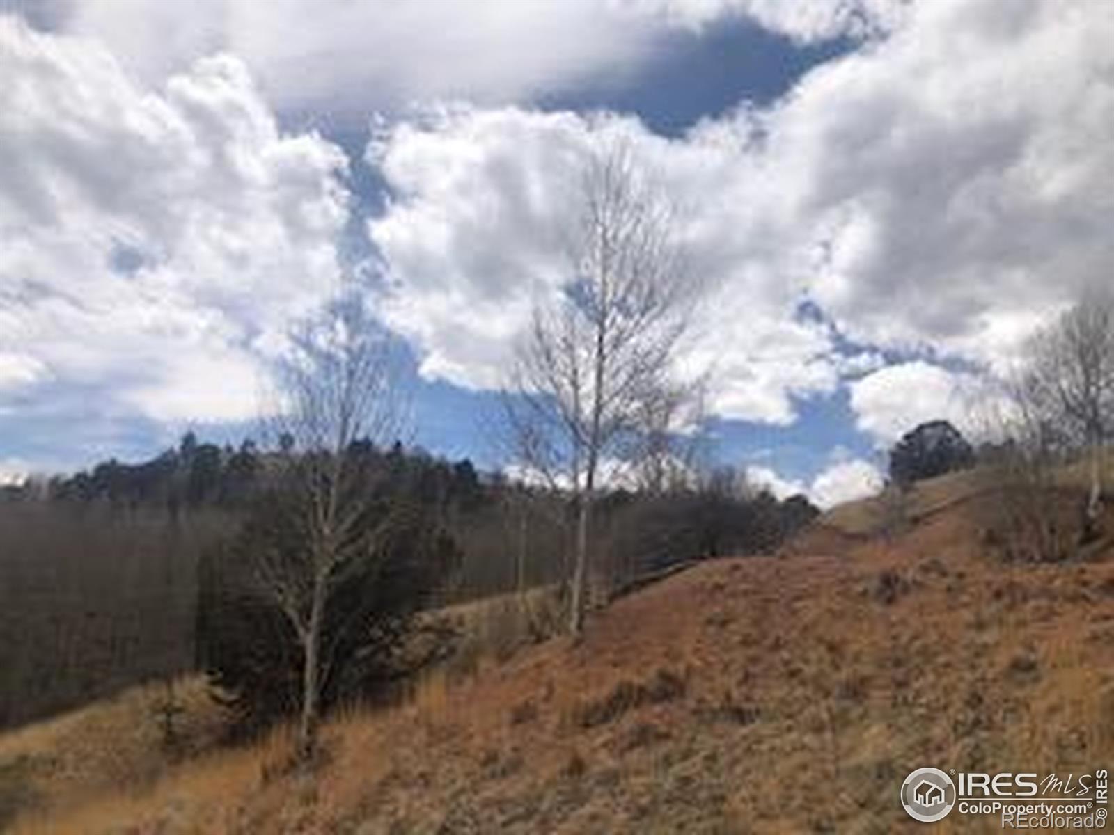499 Granite Lane Cripple Creek CO 80813
