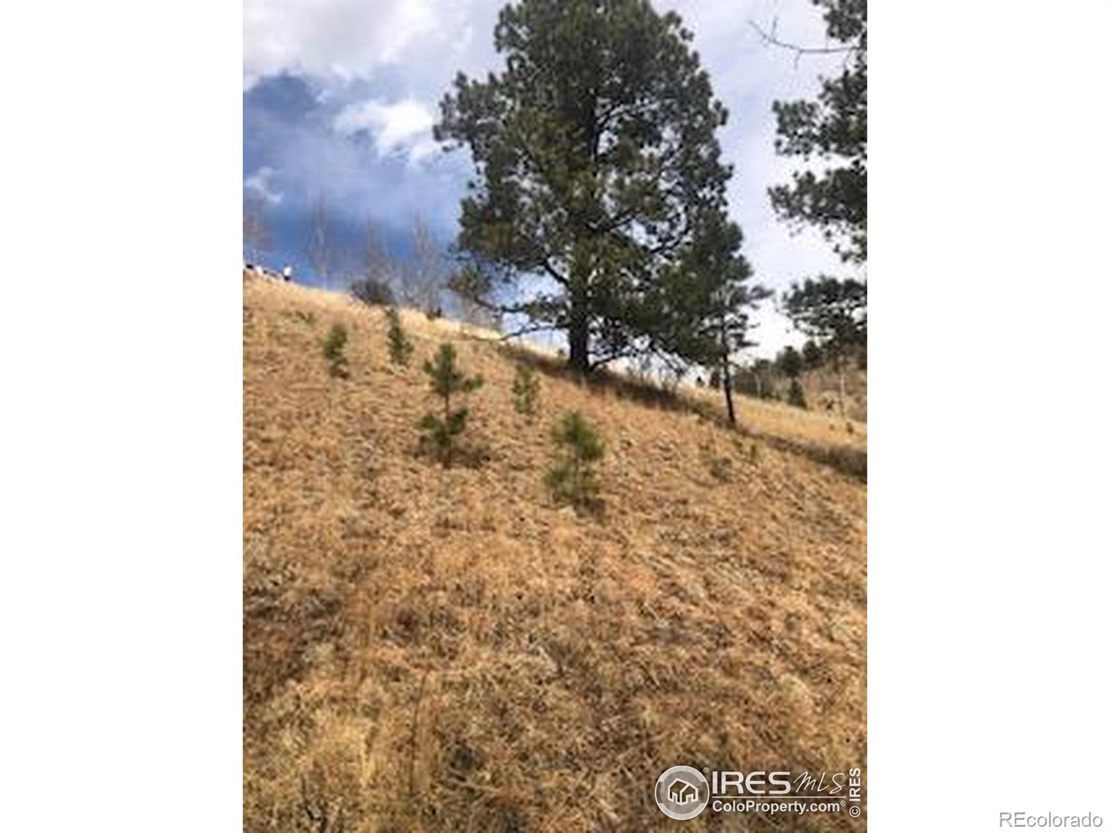 499 Granite Lane Cripple Creek CO 80813