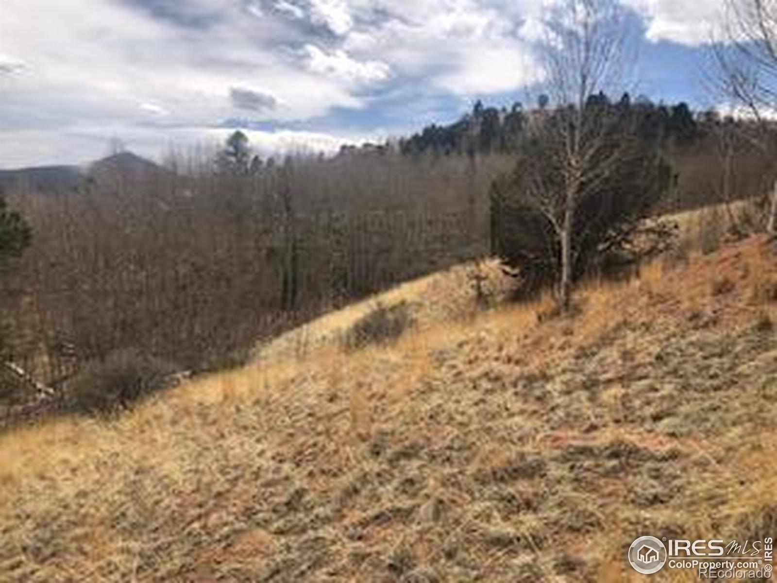 499 Granite Lane Cripple Creek CO 80813