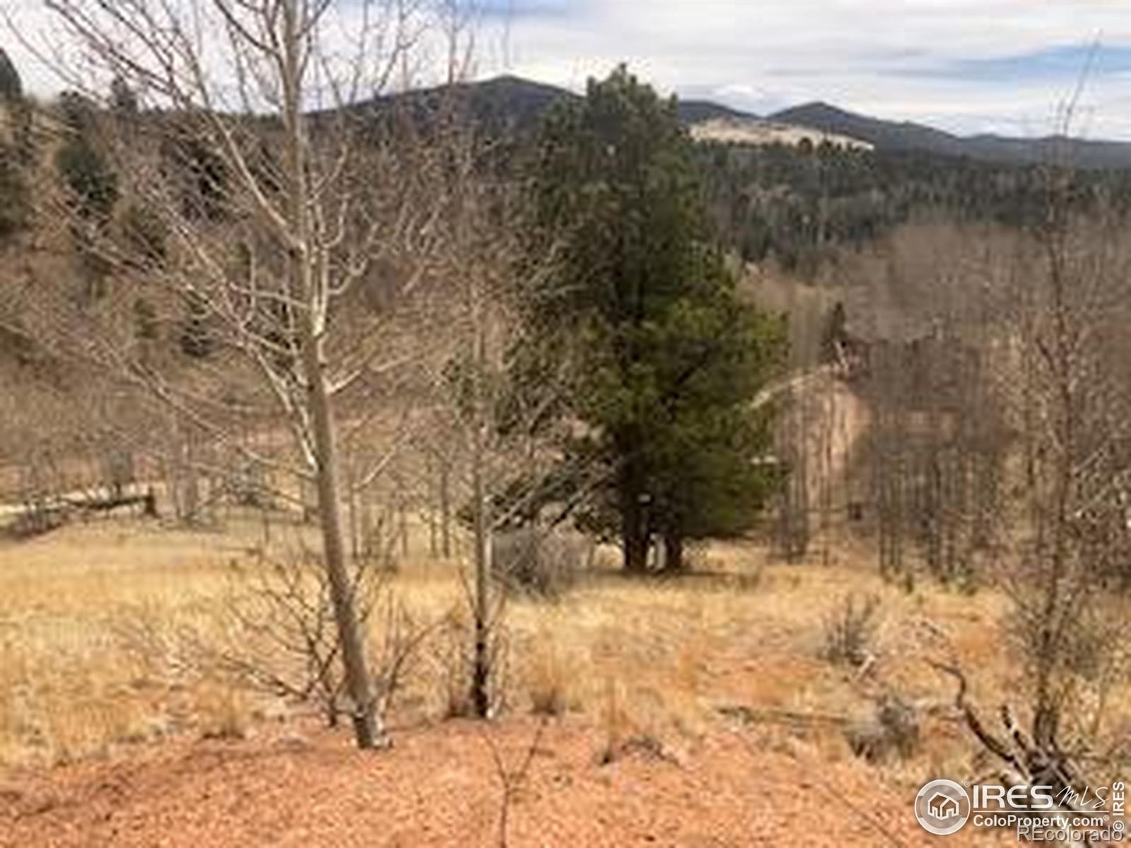 499 Granite Lane Cripple Creek CO 80813