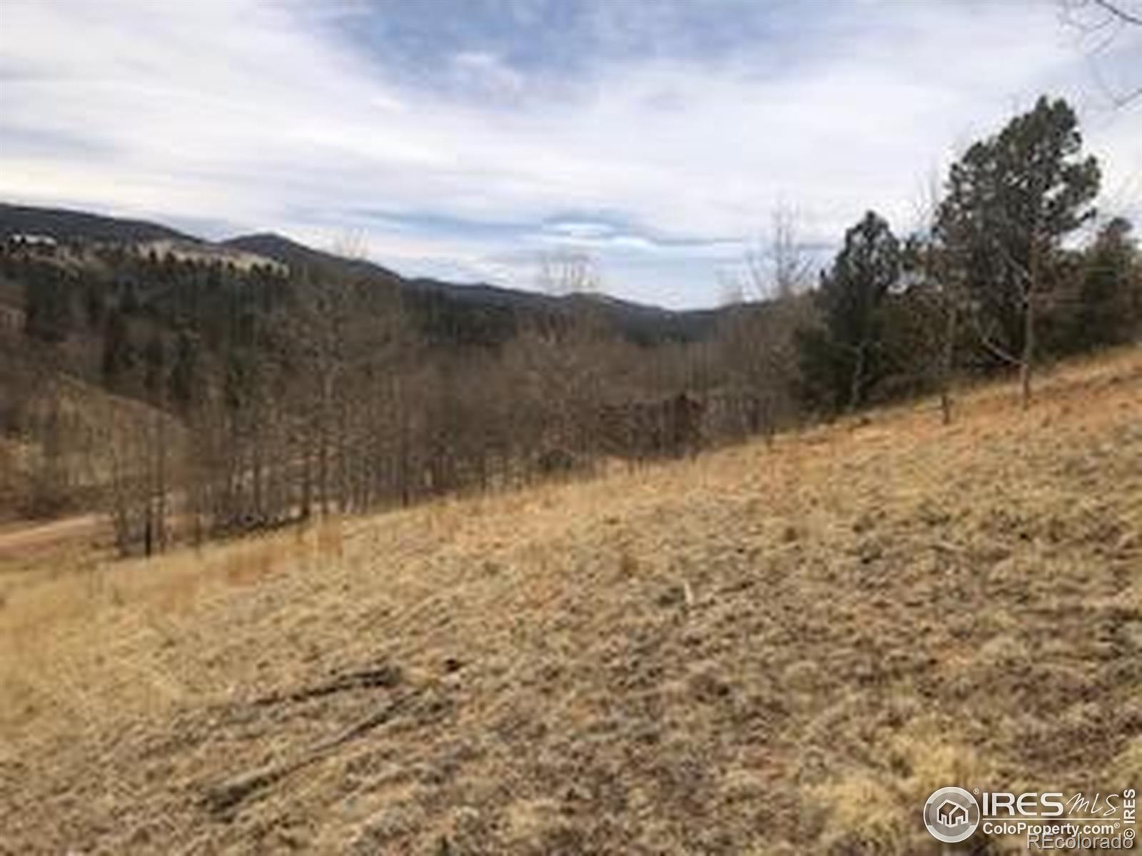 499 Granite Lane Cripple Creek CO 80813