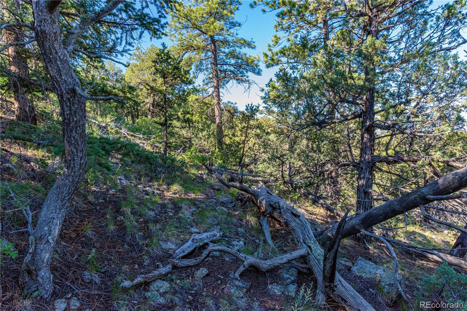 109 Cottonwood Drive Cotopaxi CO 81223