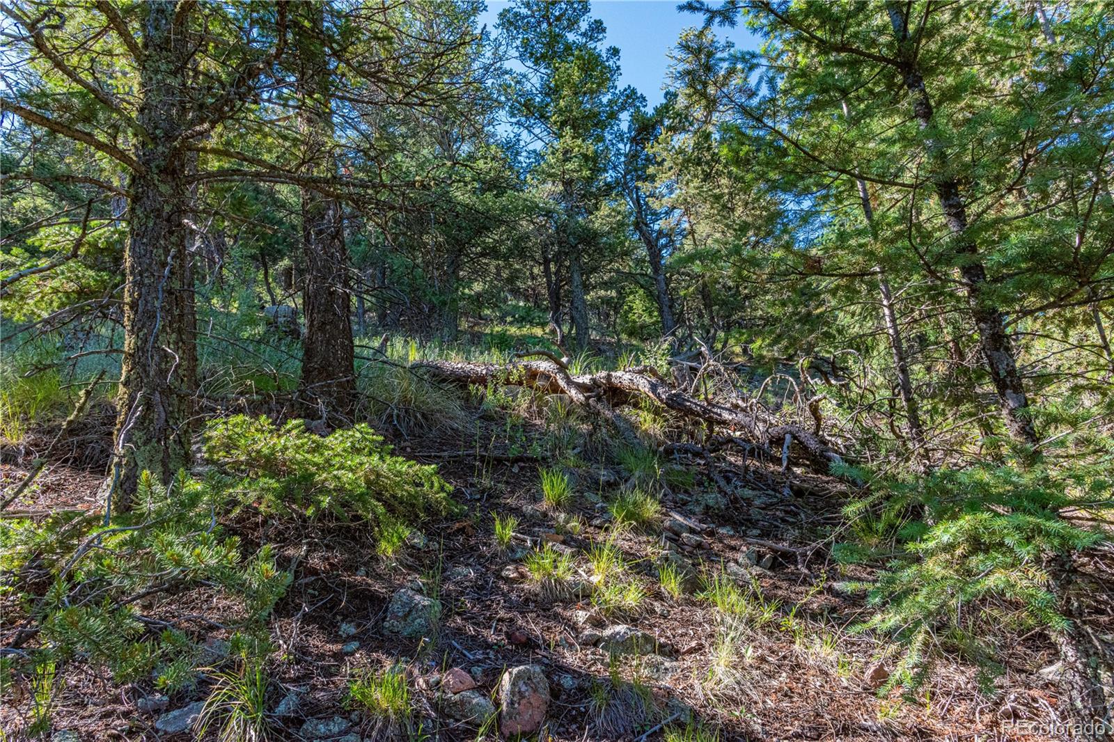 109 Cottonwood Drive Cotopaxi CO 81223