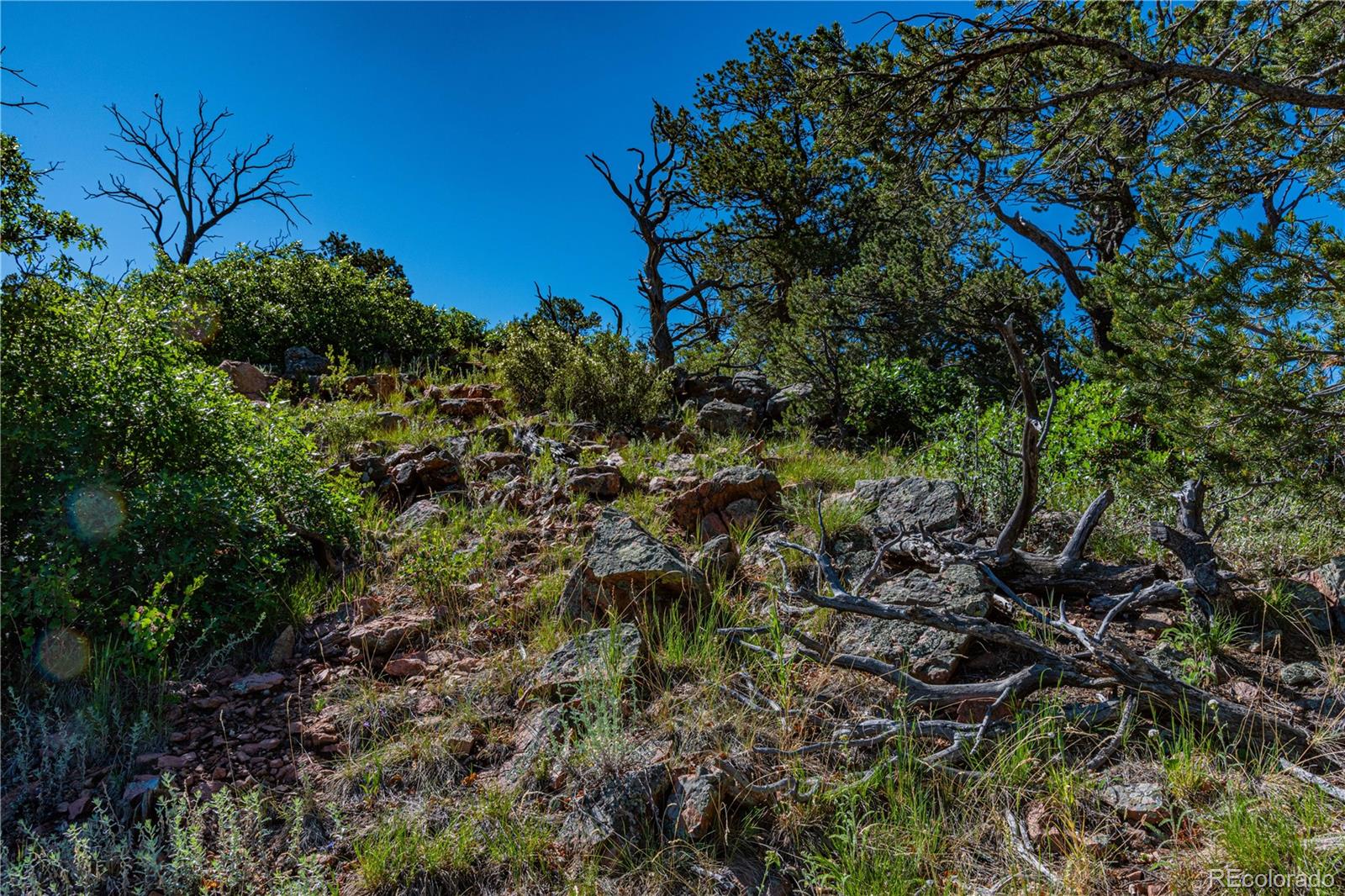109 Cottonwood Drive Cotopaxi CO 81223