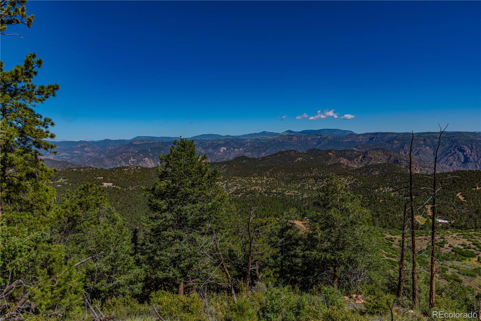 109 Cottonwood Drive Cotopaxi CO 81223