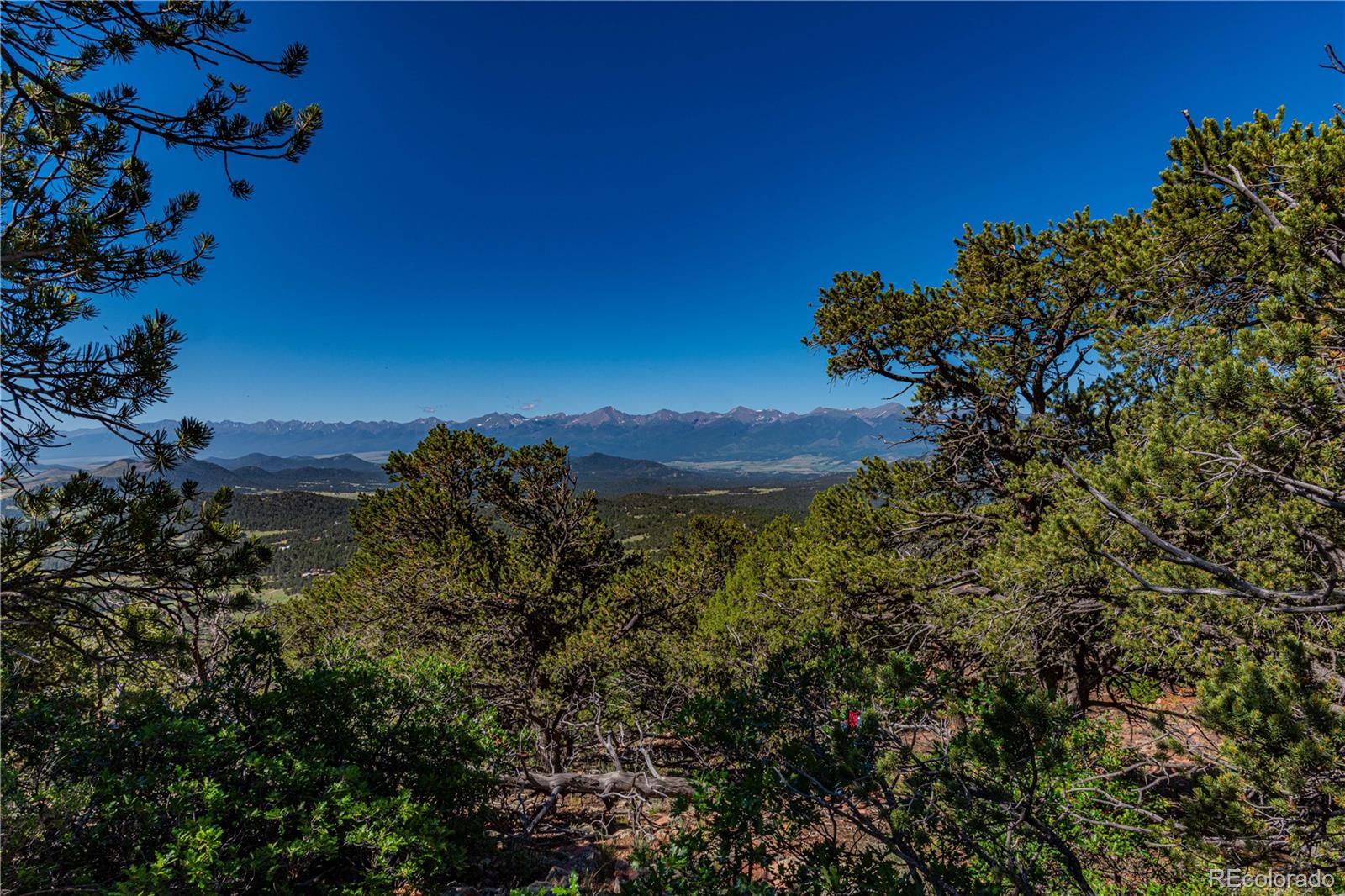 109 Cottonwood Drive Cotopaxi CO 81223
