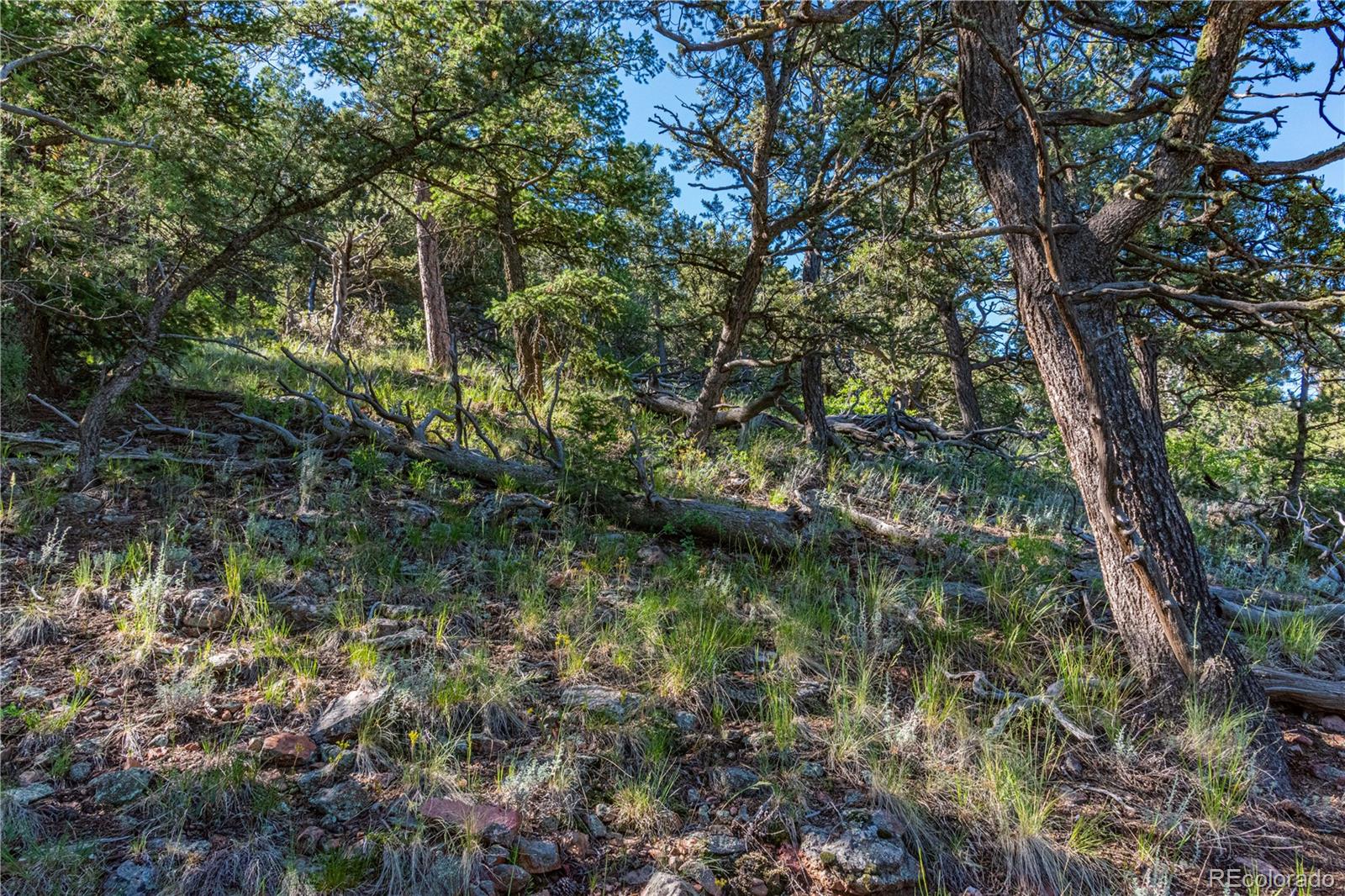 109 Cottonwood Drive Cotopaxi CO 81223