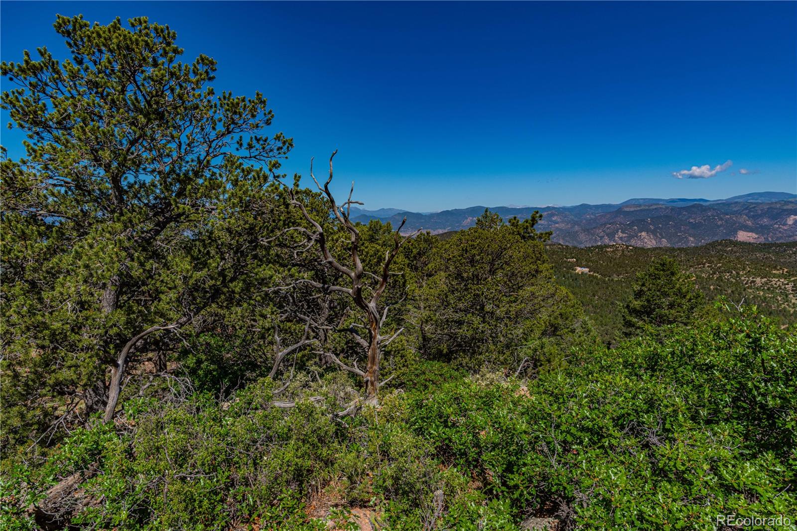 109 Cottonwood Drive Cotopaxi CO 81223