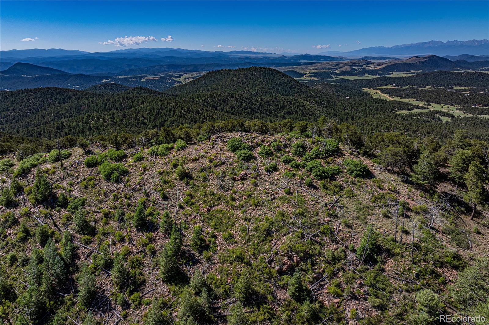 109 Cottonwood Drive Cotopaxi CO 81223