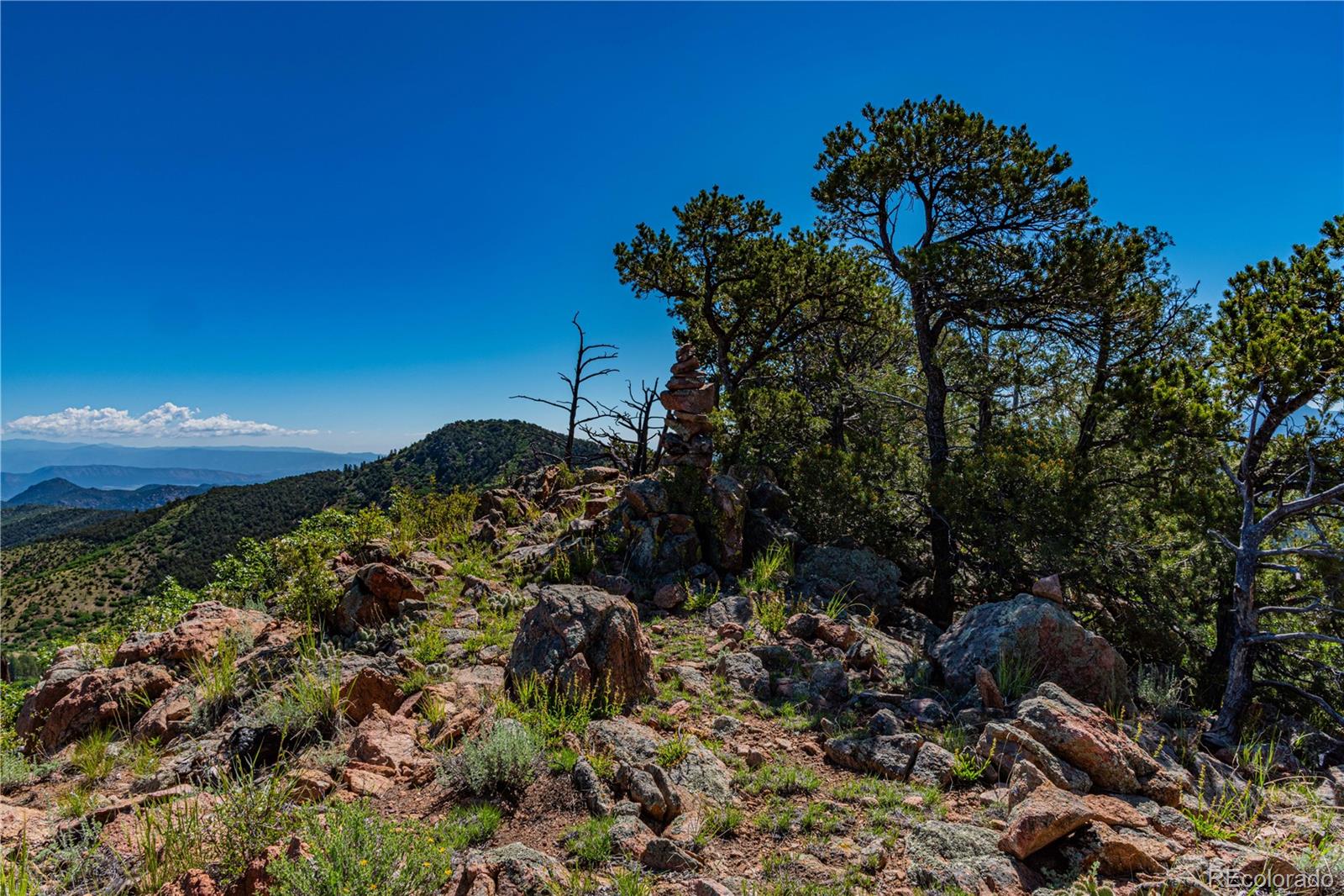 109 Cottonwood Drive Cotopaxi CO 81223