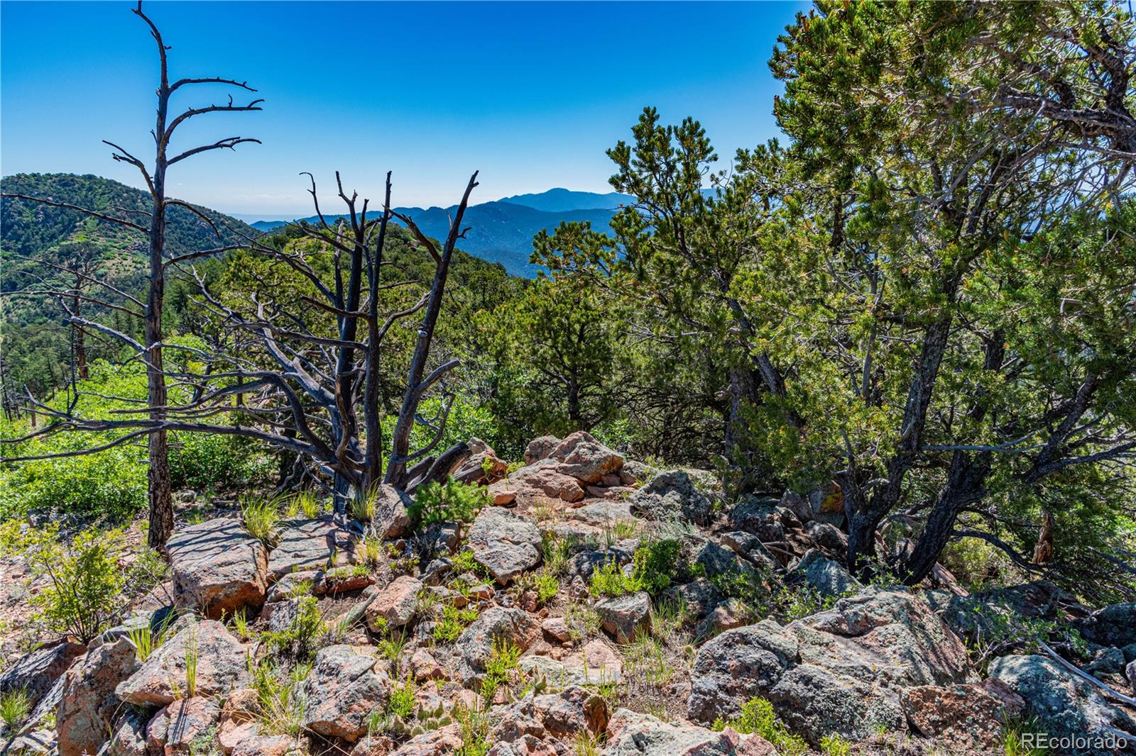 109 Cottonwood Drive Cotopaxi CO 81223