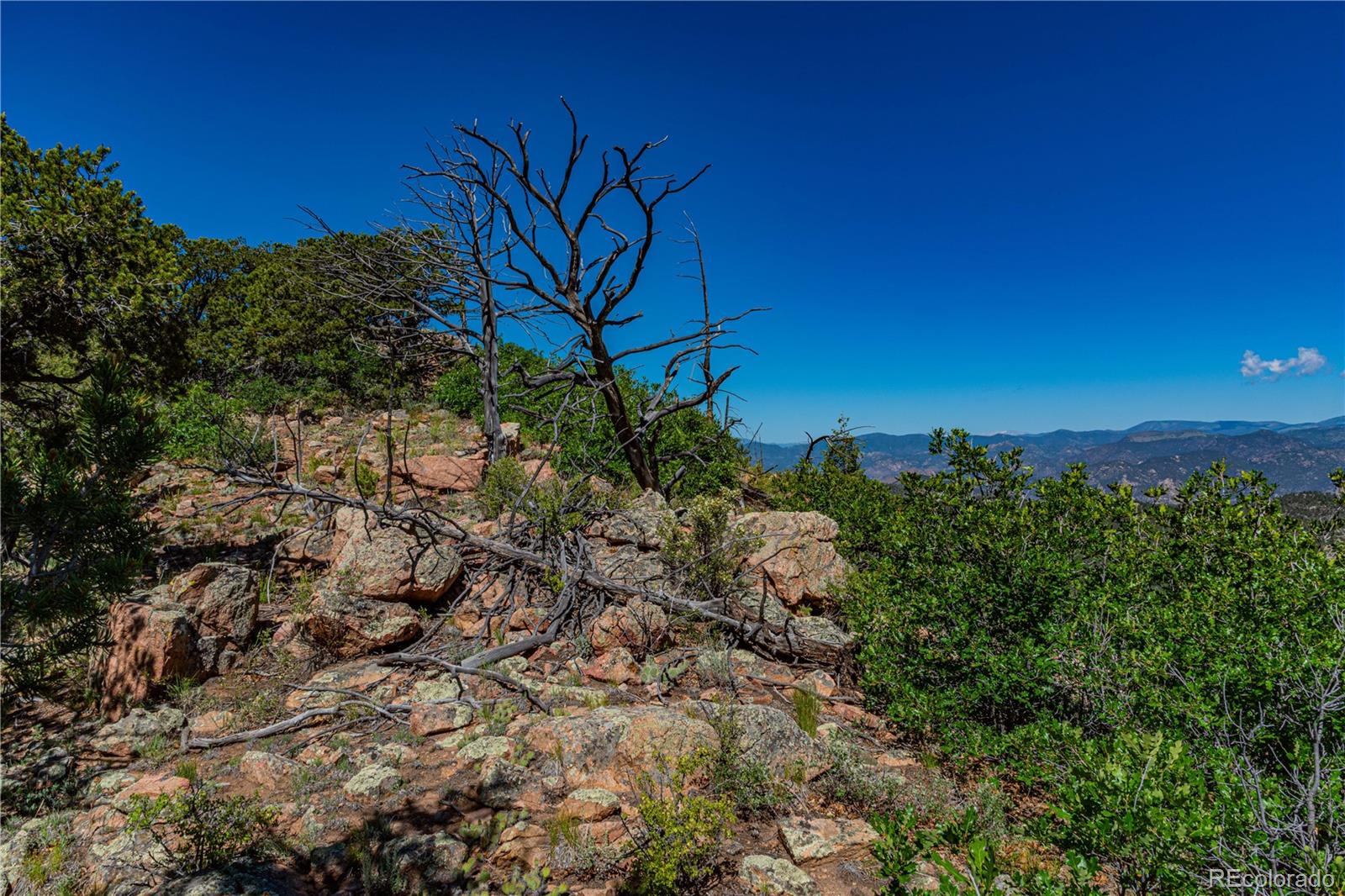 109 Cottonwood Drive Cotopaxi CO 81223