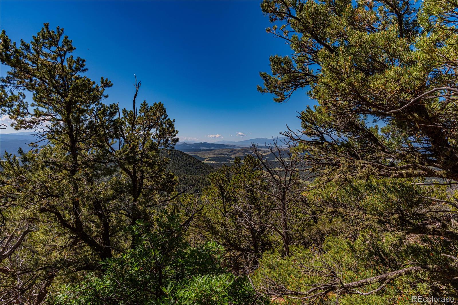 109 Cottonwood Drive Cotopaxi CO 81223