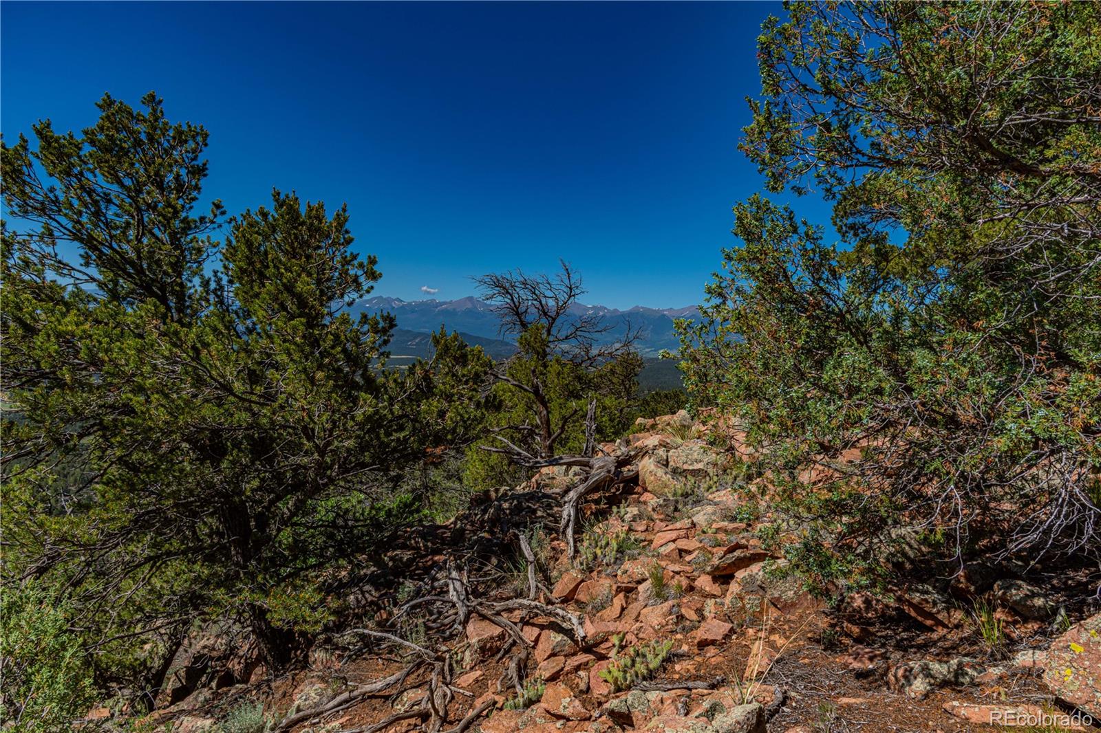 109 Cottonwood Drive Cotopaxi CO 81223