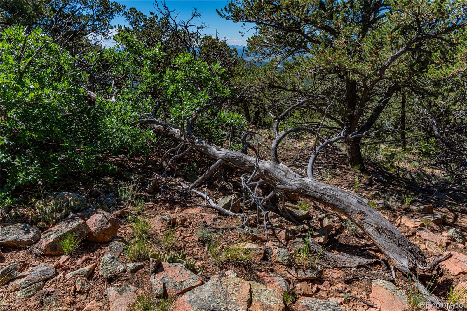 109 Cottonwood Drive Cotopaxi CO 81223
