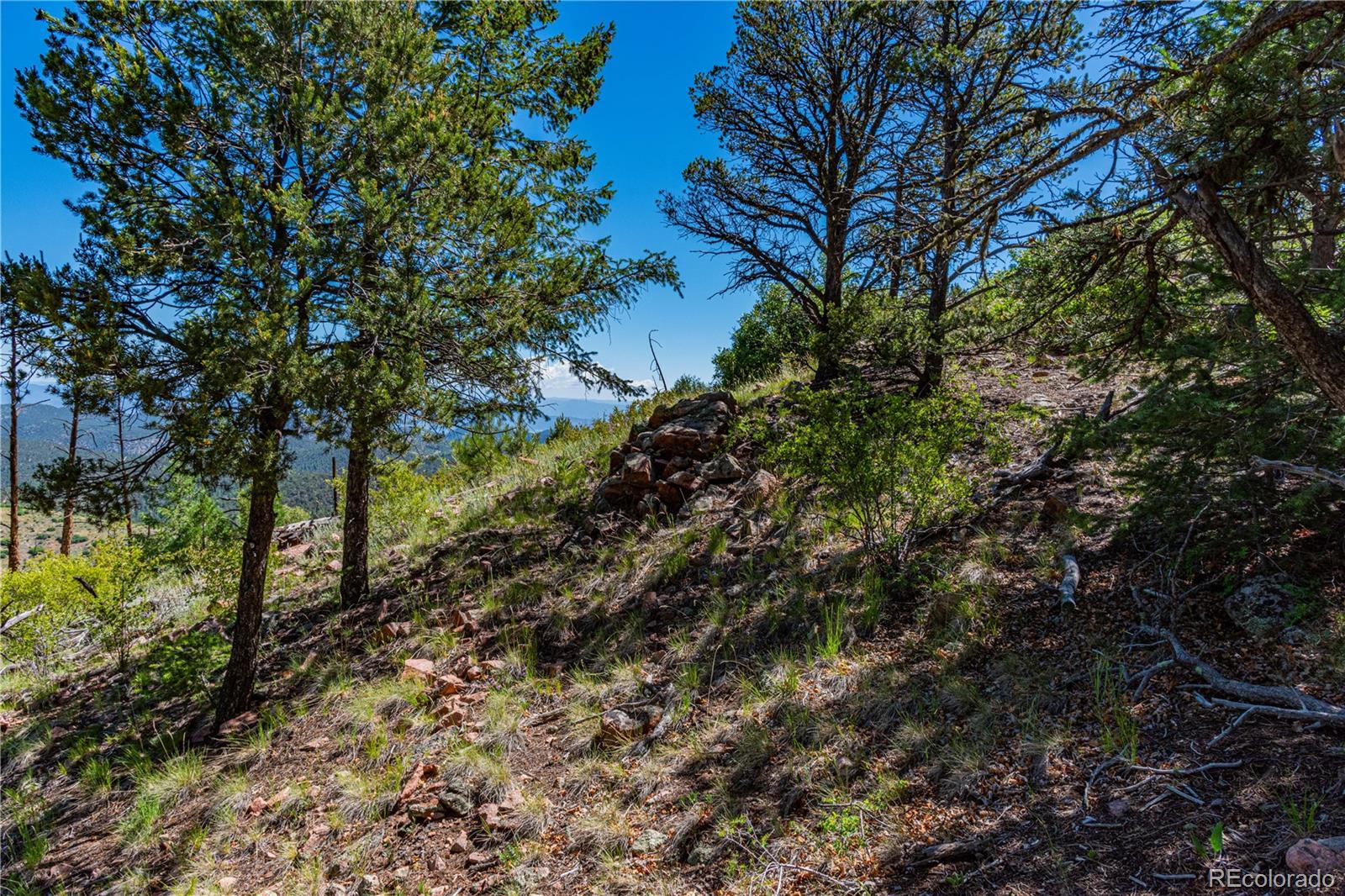 109 Cottonwood Drive Cotopaxi CO 81223