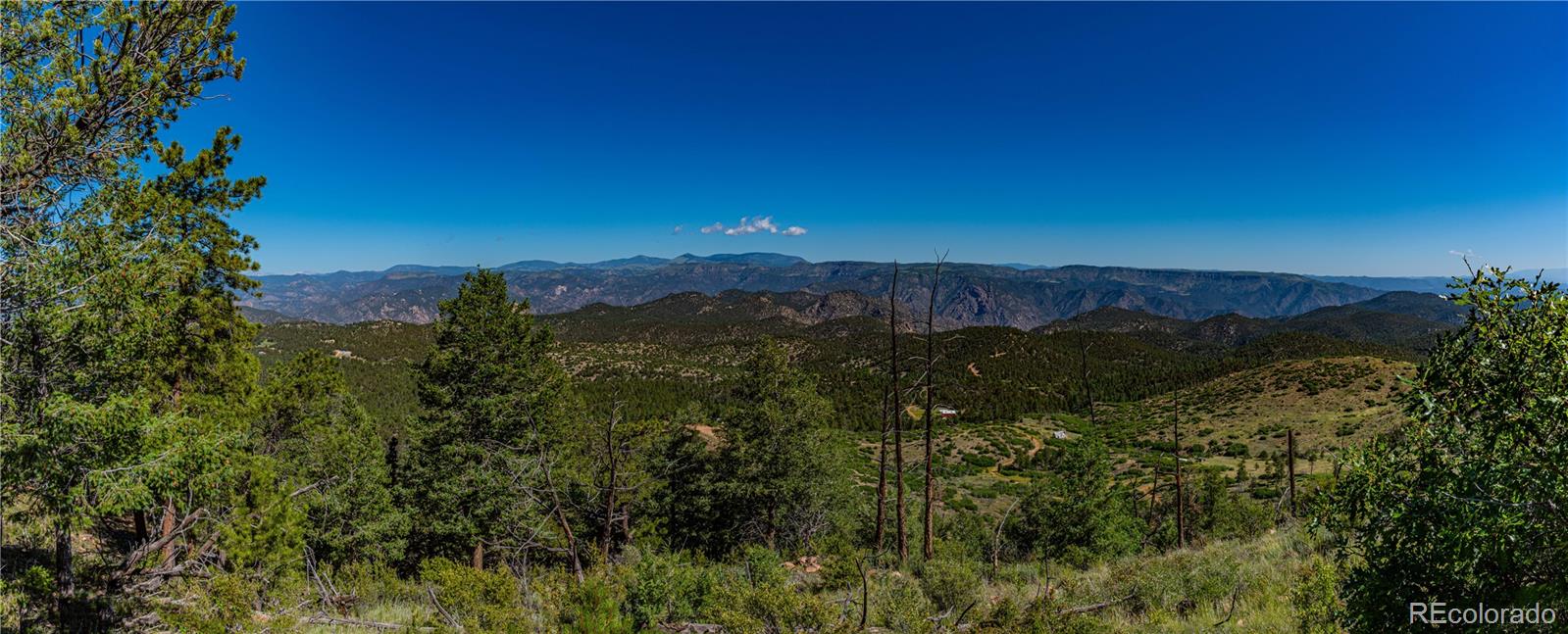 109 Cottonwood Drive Cotopaxi CO 81223
