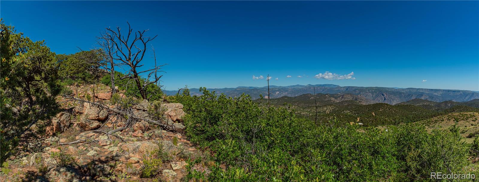 109 Cottonwood Drive Cotopaxi CO 81223