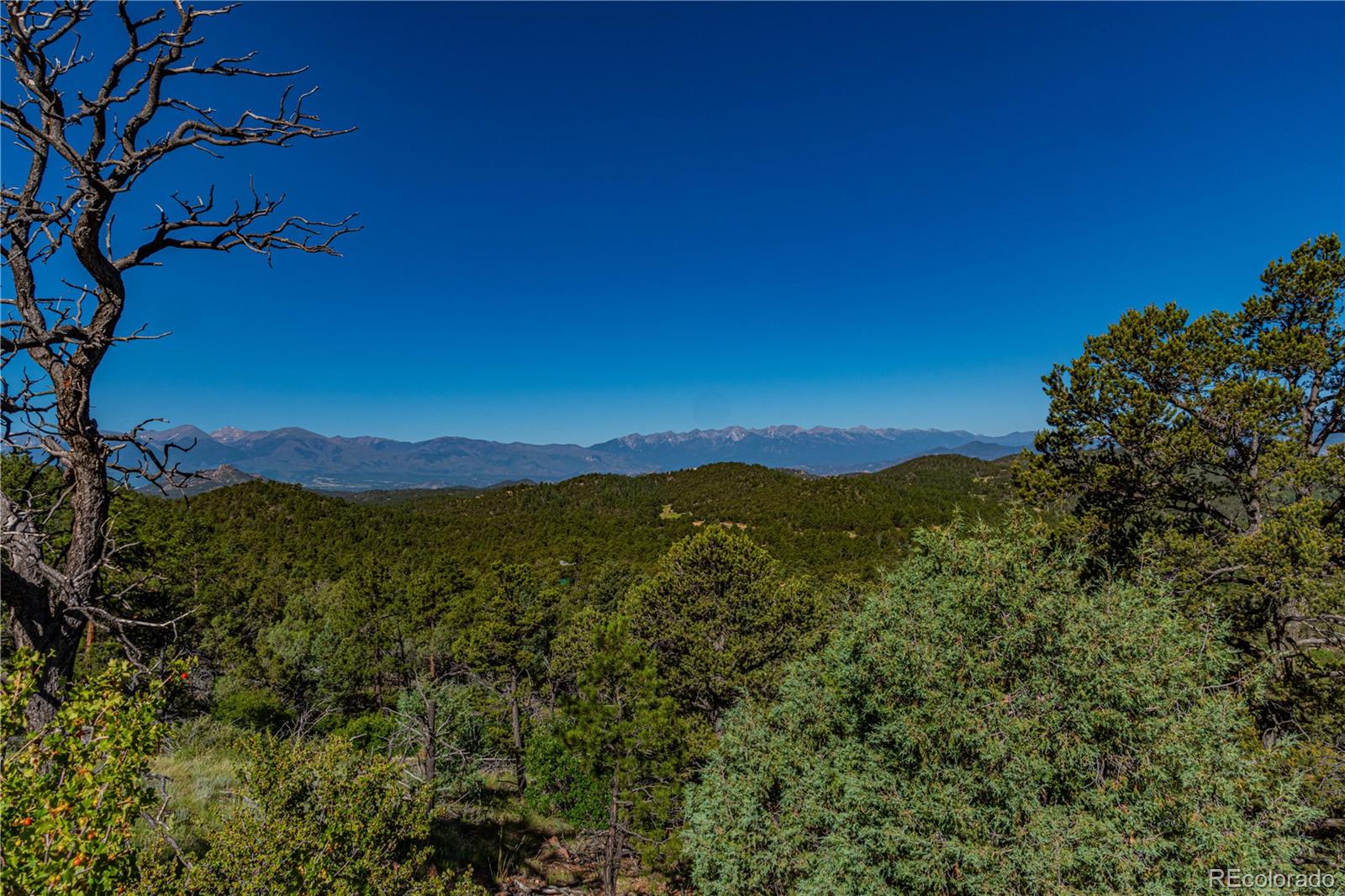 109 Cottonwood Drive Cotopaxi CO 81223