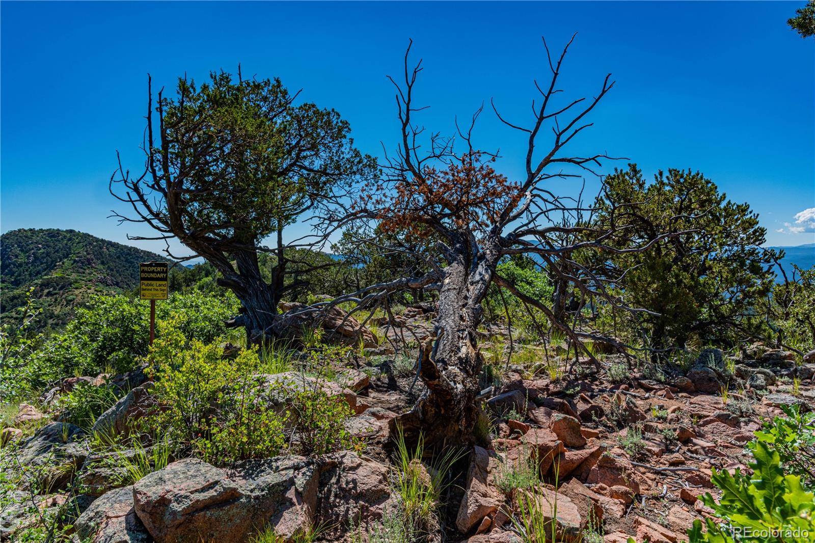 109 Cottonwood Drive Cotopaxi CO 81223