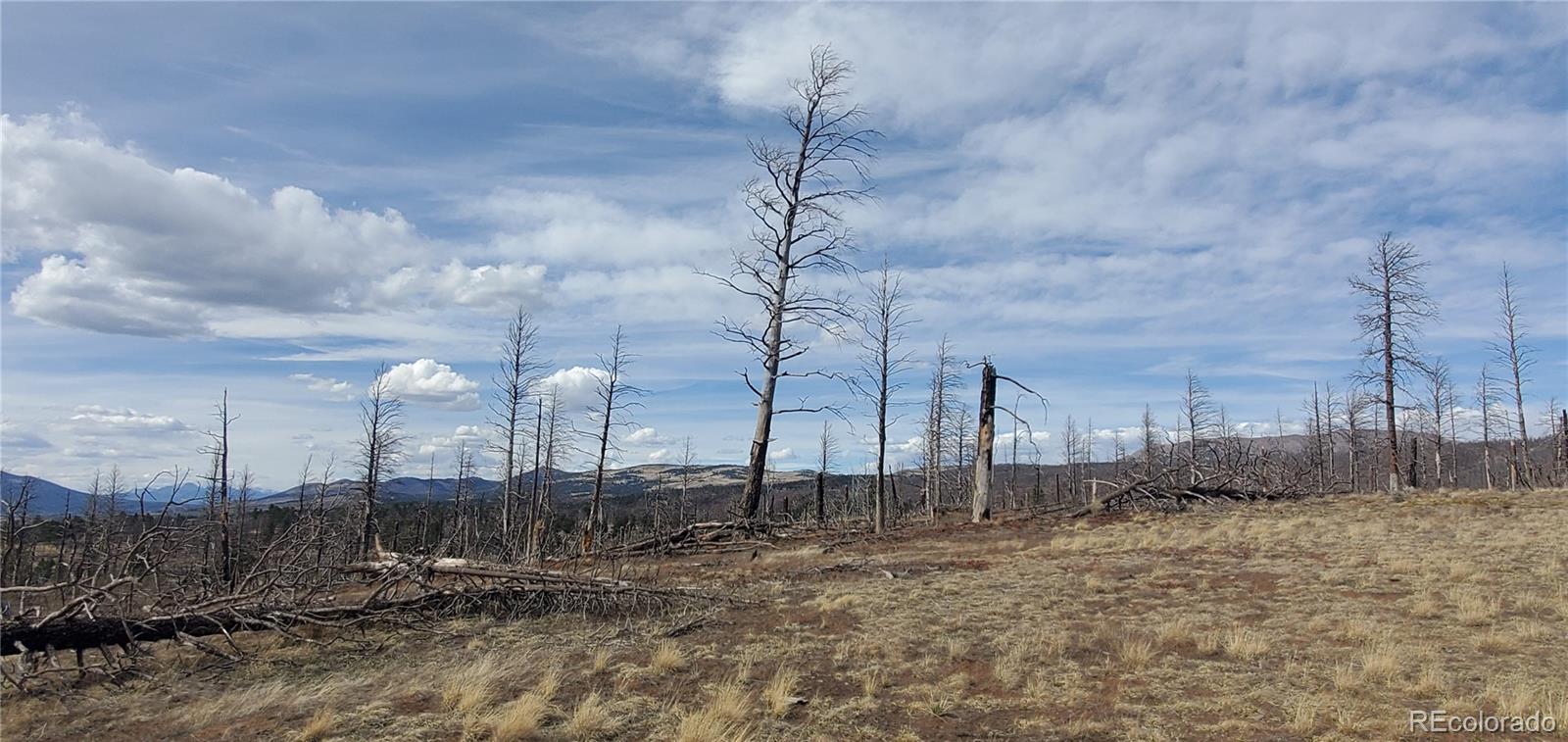 Lot 1227 Granville Loop Fort Garland CO 81133