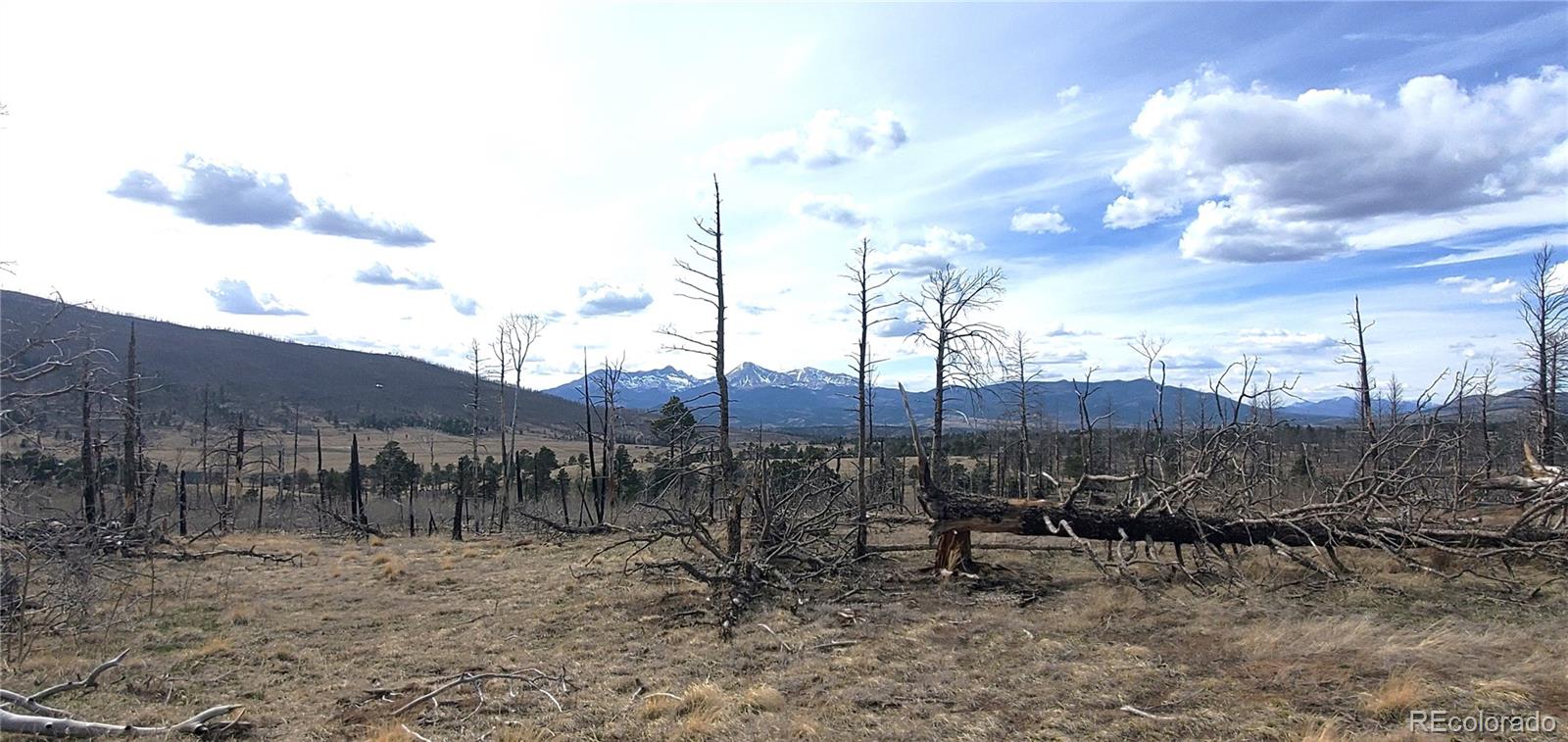 Lot 1227 Granville Loop Fort Garland CO 81133